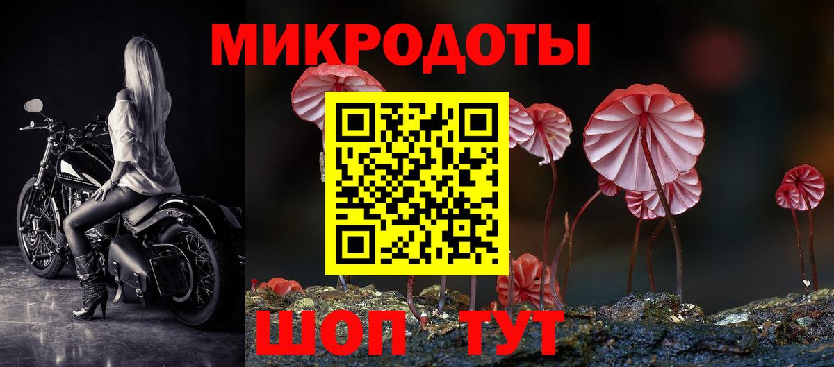 Псилоцибиновые грибы Psilocybine cubensis  Вход с VPN  Сердобск 