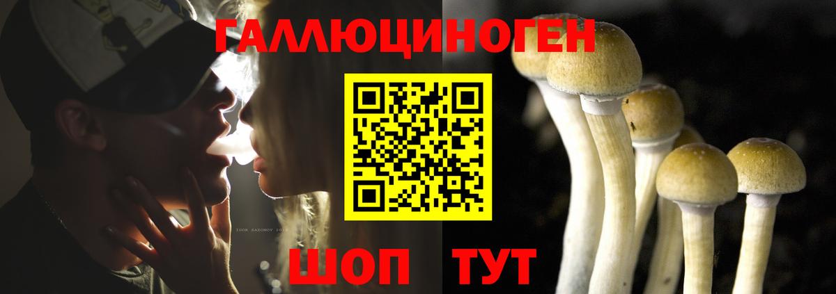 Галлюциногенные грибы Psilocybine cubensis Сердобск